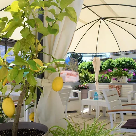 International Hotel 3*